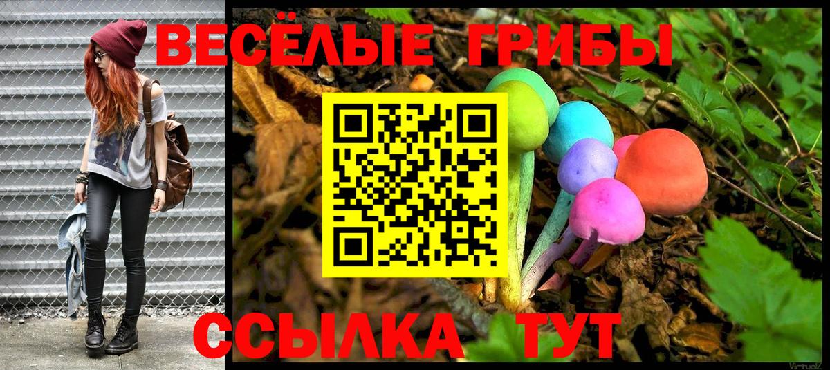 Псилоцибиновые грибы MAGIC MUSHROOMS Екатеринбург