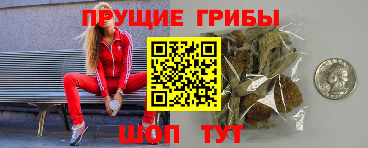 Екатеринбург  Псилоцибиновые грибы мицелий  Вход с VPN  Псилоцибиновые грибы мицелий 